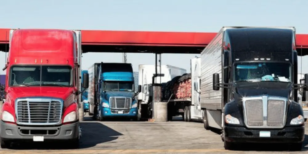 Reporting, Monitoring, and Data That Improve Vehicle Management